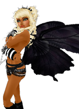 kaibabe88