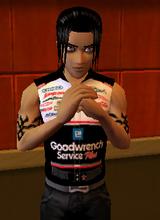 Icedreamerwolf