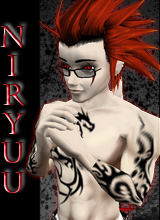Guest_Niryuu