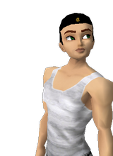 Guest_verlem