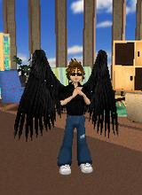 Guest_hahn1023