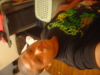 Guest_NoriNS