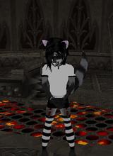 Guest_RaccoonPawz