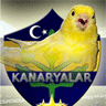 Guest_sonefsane