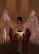 Guest_darkshadow0123