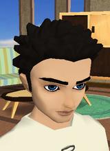 Guest_magnavi