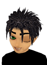 BugsBuddy