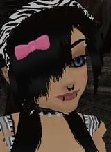 Guest_SsandD