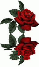 Guest_deserteroses