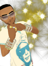 Swags08