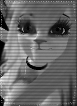 GrayKittyProductions