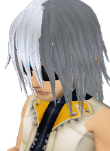 Guest_Riku1Rikku