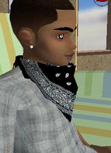 Guest_ShawnDizzle874
