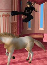 Guest_princemysterio