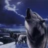 Guest_wolfsq