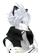 SnowcatTigerpaw