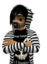 Guest_kevinis16