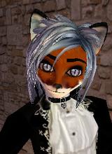 blkwolf