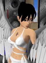 Guest_Zander226