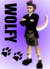 PatientWolf