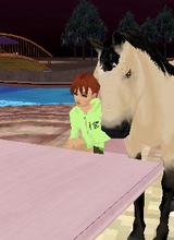 Guest_Ilovehorsesforever