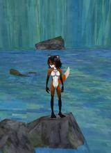 Guest_aanimalcrazy