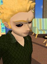 Vashkins