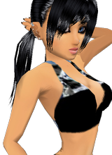 Guest_SteffanyBr