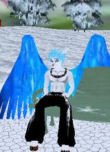 Guest_NOMI433