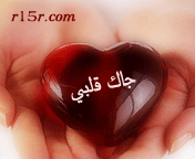 Guest_Sniperjeddah
