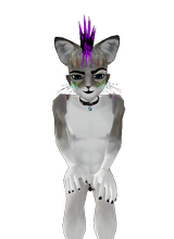 Guest_DranikWolf