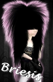 Briesis