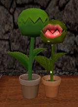 CherWitch