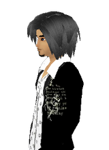 newgroundsking