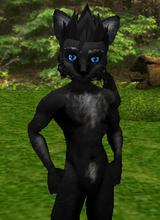 Avatar pic