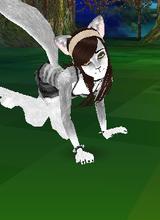 Avatar pic