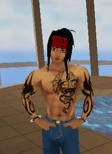 04hogrider