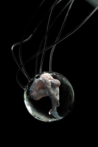 nekxon_disabled_20305433