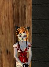 Guest_EviSuChiCa