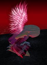 Avatar pic