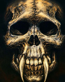 avatar picture