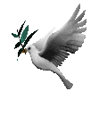 Guest_Esaie820_disabled_20567157