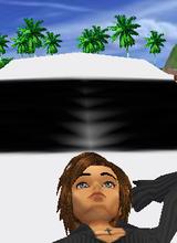 Guest_Budington