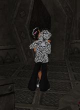 Guest_ricky562