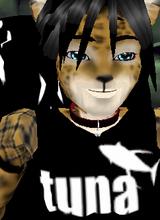 avatar picture