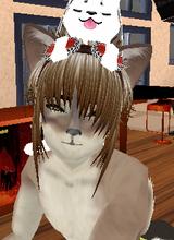 Guest_furry911