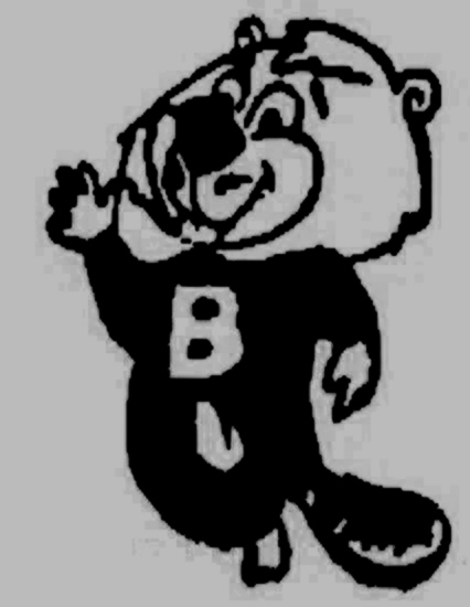 Guest_BeaverNever_disabled_20980092