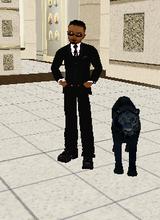 Guest_Malik717