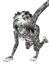 hotkitty51
