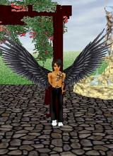 Guest_liebesmaschine